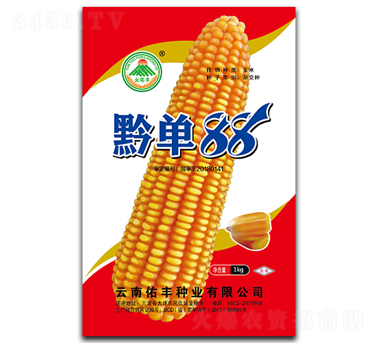 ǭ��88-��������-�����ӷ���ҵ