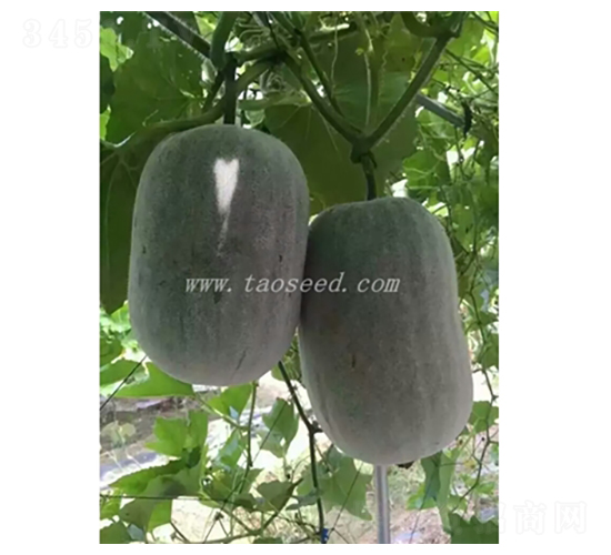 ����2��-�ڹ�����-��԰ũҵ