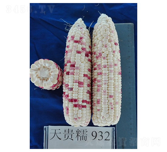 ���Ŵ932-��������-��԰ũҵ