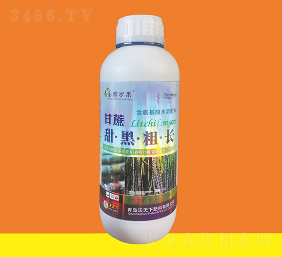 ������ڴֳ�-ʥ�����-������