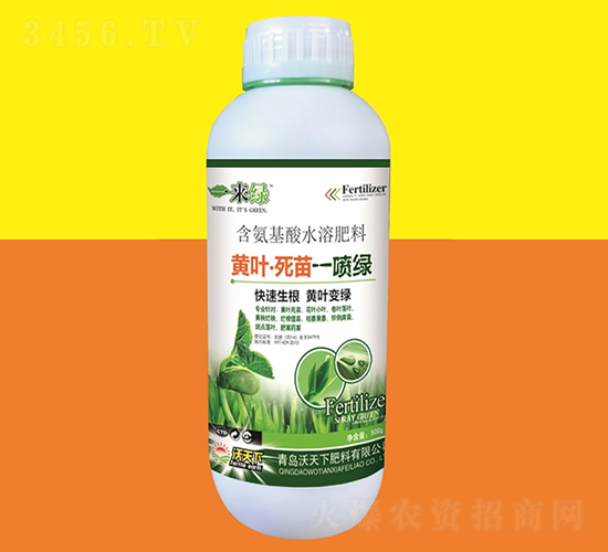��Ҷ����һ����500g-һ����-������