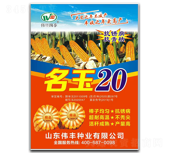 ����20-��������-ΰ����ҵ