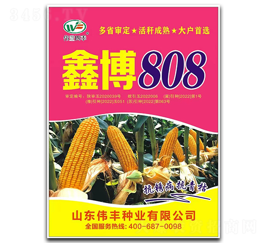 �β�808-��������-ΰ����ҵ