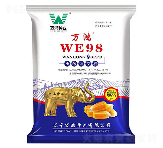 �����ӽ���-���WE98-�����ҵ