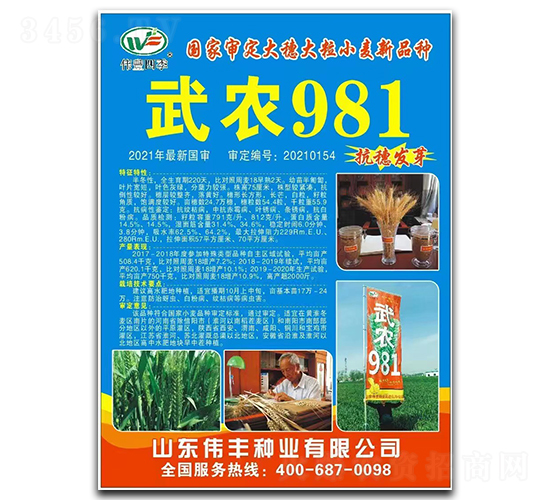 ��ũ981-С������-ΰ����ҵ