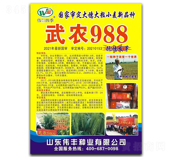 ��ũ988-С������-ΰ����ҵ