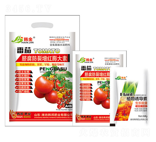 �����긯�������������-����-�����ҵ