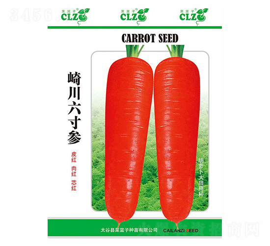 �鴨�����-��ʢ��