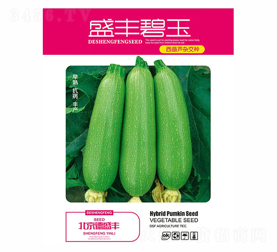 ʢ�����-��ʢ��