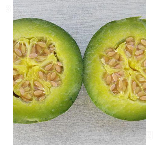 ����౦��-�������-��ũũҵ