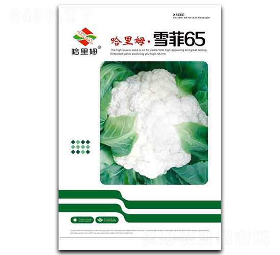 ѩ��65-�˻�����-����ķ