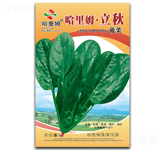 ����ķ����-��������-����ķ