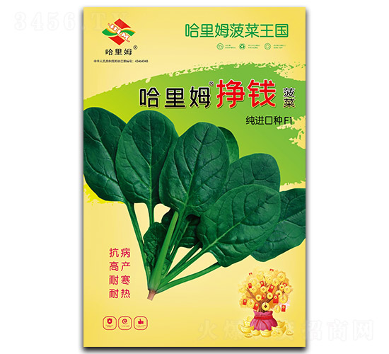 ����ķ��Ǯ����-��������-����ķ