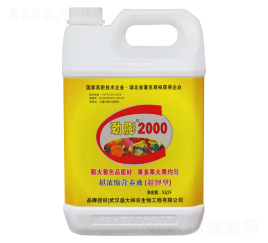 ����2000-ʢ������