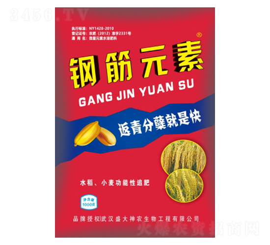 �ֽ�Ԫ��-ʢ������