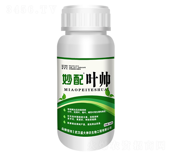 ����Ҷ˧-ʢ������