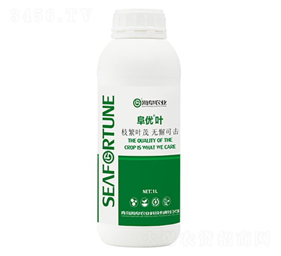 1L����Ҷ-����ũҵ