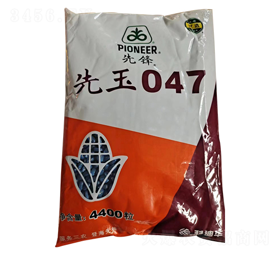 ����047��������-�д���ҵ