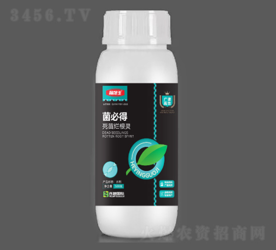 500g���ص�-�ڱ���-��ӱ����