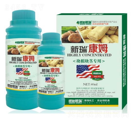 ����龥ר��Ҷ���-����