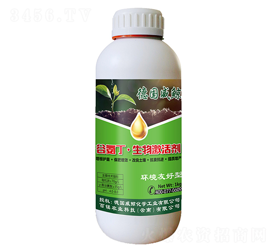 1kg�Ȱ������Ｄ���-�¹�����-��þ