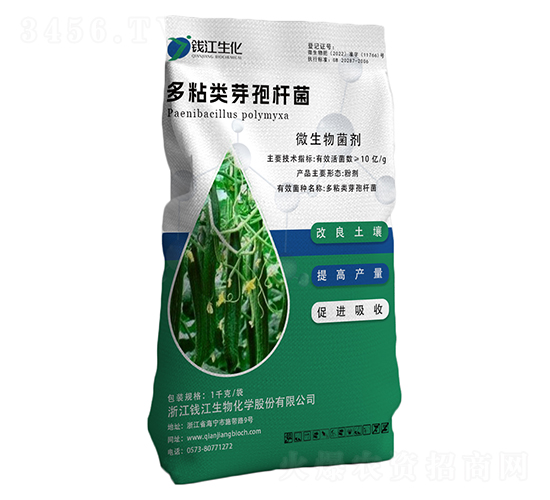 ��ճ��ѿ�߸˾�-Ǯ������