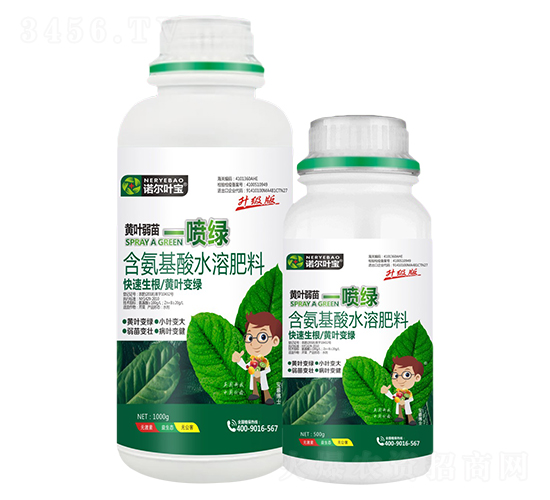 ��Ҷ����һ����-ŵ��Ҷ��-ŵ����