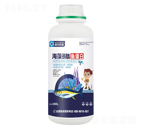 ��������㵰��-ŵ��Ҷ��-ŵ����