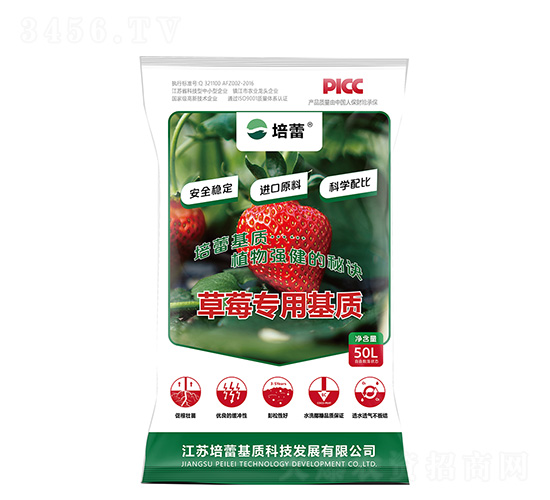 ��ݮ�������-����