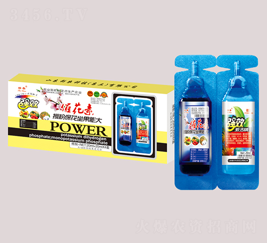 �߻����ڷ۱����������-��-��ũ