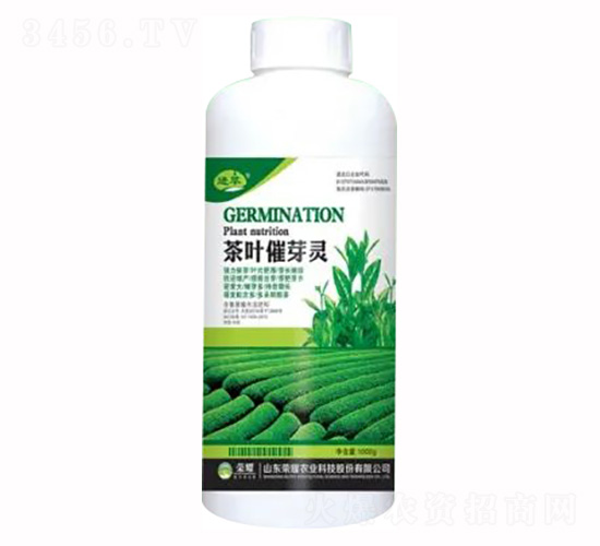 1000g��Ҷ��ѿ��-��ҫũҵ