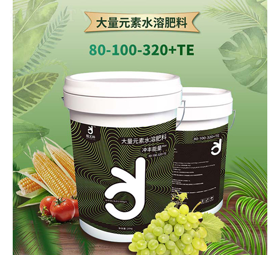 �߼���ˮ�ܷ�80-100-320+TE-ֲ�ȴ�