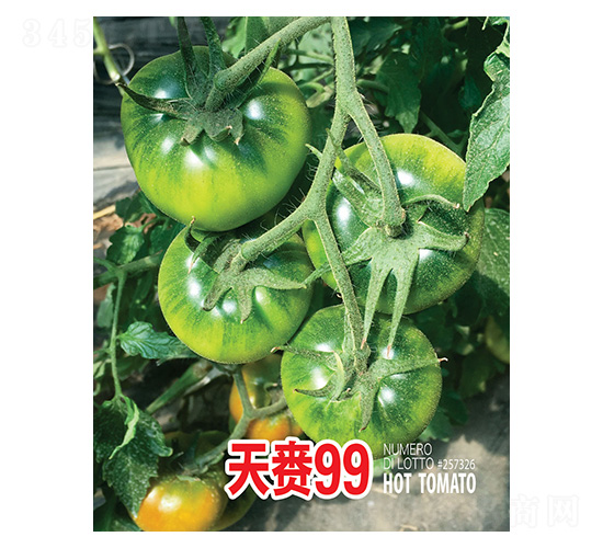 ����99-��ũ����