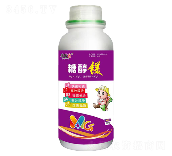 �Ǵ�þ-���տ�-��ũ����