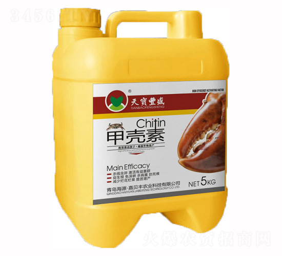 �׿���-�챦��ʢ-����