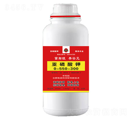 250g�������0-550-300-��˹������״Ԫ-³������