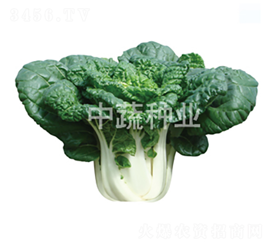 ���1��-�ײ�����-������ҵ