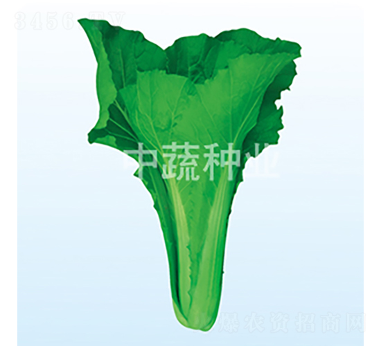��������-�ײ�����-������ҵ