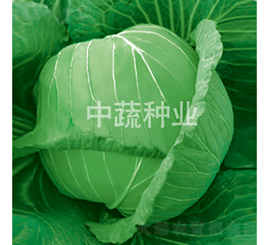 �и�9��-��������-������ҵ