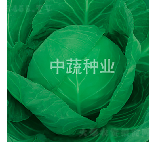 �и�16��-��������-������ҵ