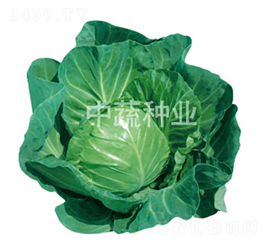 �и�15��-��������-������ҵ