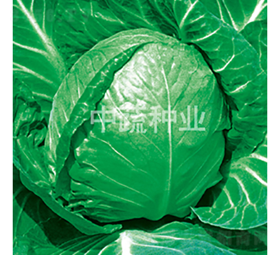 ���Բ����и�11-��������-������ҵ