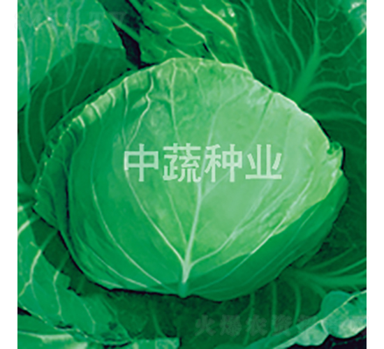 �и�18��-��������-������ҵ