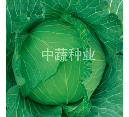 �и�101-��������-������ҵ