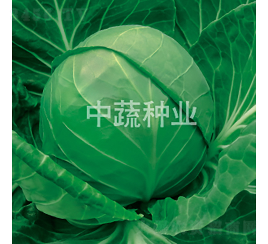 YR�и�21-��������-������ҵ