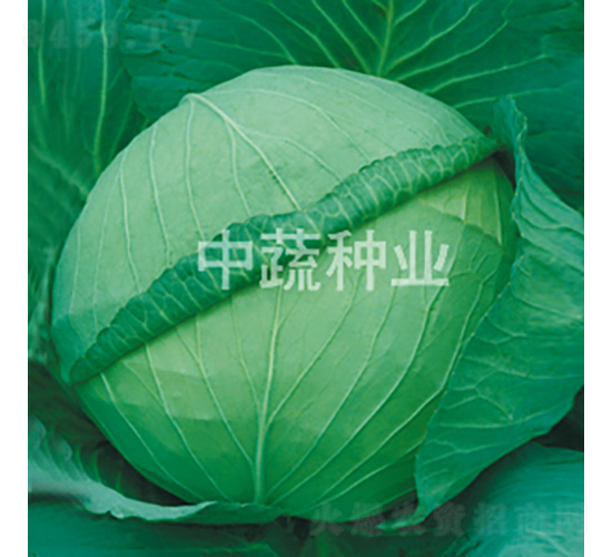 �и�19��-��������-������ҵ