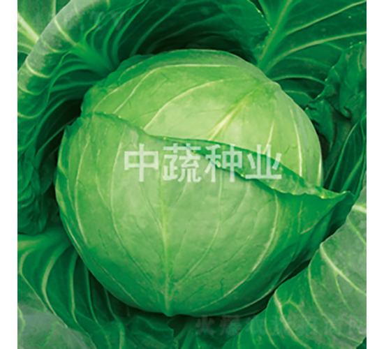 �и�27-��������-������ҵ