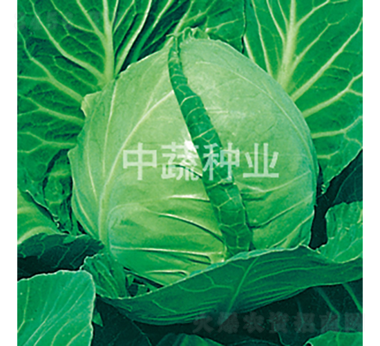 �и�17-��������-������ҵ