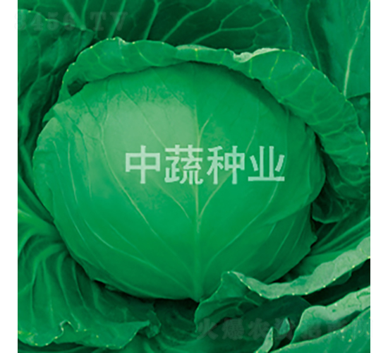 �и�23-��������-������ҵ