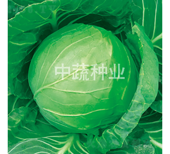 �и�28-��������-������ҵ